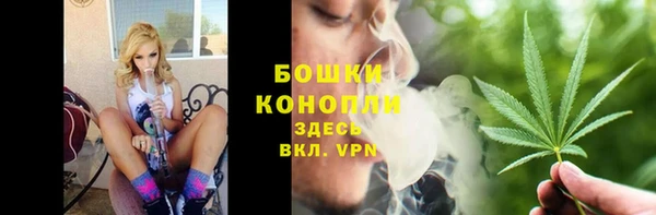 спиды Арсеньев