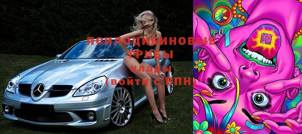 ГАЛЛЮЦИНОГЕННЫЕ ГРИБЫ Армянск